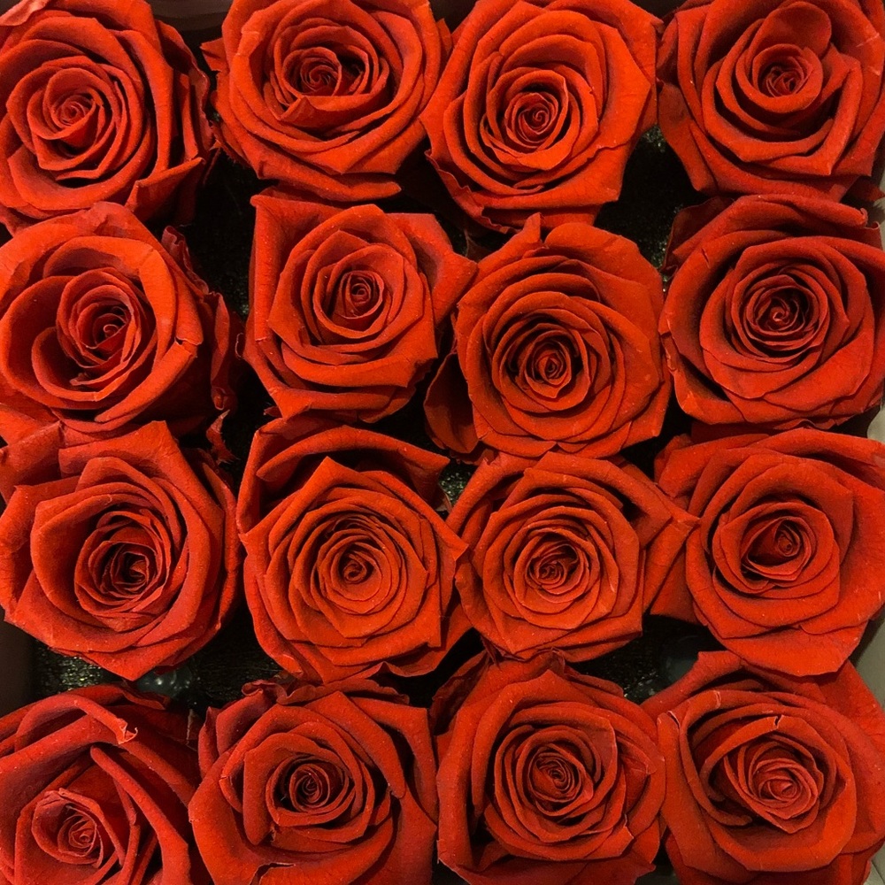Sold❤️ Premier Forever 🌹 Roses